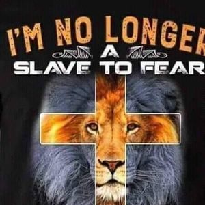 Meet your Posher, Elle